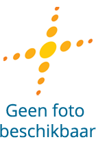Loek Schraven